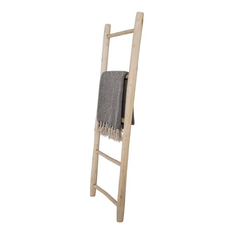 bambus fargesia campbell kaufen Bambus Campbell (Fargesia robusta 'Campbell') | 60-80 cm im Topf