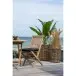 Gartenstuhl >Toledo< (2er-Set) in Teak, Massivholz - 46x89x62cm (BxHxT)