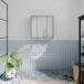 Badezimmerspiegelschrank >ALICE SPRINGS< in Taupe / Spiegel - 74,5x72x23,8cm (BxHxT)