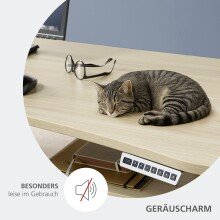 Schreibtisch >Santorin< in Riva Eiche Dekor, Melamin - 160x72x77cm (BxHxT)