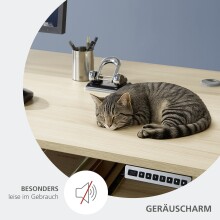 Eckschreibtisch >Santorin< in Riva Eiche Dekor, Melamin - 185x72x177cm (BxHxT)