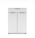 Aktenschrank >Santorin< in Weiß, Holzwerkstoff / Glas - 80x110x38cm (BxHxT)
