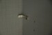 Schwebetürenschrank >palermo< PLANKENEICHE Dekor / Spiegel + GRAPHIT - 300x216x65 (BxHxT)