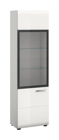 Vitrine >Ice< in Weiß / Weiß Hochglanz - 45x160x34cm (BxHxT)