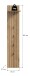 Garderobenpaneel >Station< in Evoke Oak - 31x160x27cm (BxHxT)