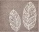 Badematte >DUETTO< in taupe, 100% Polyacryl SUPERSOFT - 65x55x2cm (LxBxH)