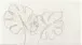 Badematte >LEVANA< in natur, 100% Polyacryl SUPERSOFT - 120x70x1,8cm (LxBxH)