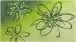 Badematte >LUSIA< in green, 100% Polyacryl SUPERSOFT - 120x70x1,8cm (LxBxH)