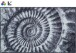 Badematte >AMMONA< in grau, 100% Polyacryl SUPERSOFT - 120x70x2cm (LxBxH)