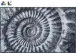 Badematte >AMMONA< in grau, 100% Polyacryl SUPERSOFT - 120x70x2cm (LxBxH)