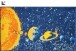 Badematte >PLANETS< in verschiedenen Größen, 100% Polyacryl SUPERSOFT