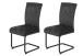 Freischwinger >RACHEL I S< (2er-Set) Federkorb, bis 140kg, Anthrazit - 46x96x60 (BxHxT)