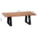 Couchtisch >GAYA< in Akazie, Massivholz - 115x40x60cm (BxHxT)