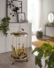 Servierwagen >WL6.000< in Gold, Metall / Glas - 76x45cm (HxD)