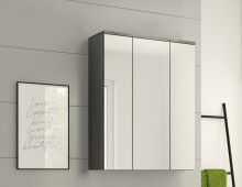 Badezimmerspiegelschrank >Blake< in Rauchsilber/Spiegelglas - 60x77x21cm (BxHxT)