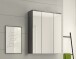 Badezimmerspiegelschrank >Blake< in Rauchsilber/Spiegelglas - 60x77x21cm (BxHxT)