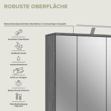 Badezimmerspiegelschrank >Blake< in Rauchsilber/Spiegelglas - 60x77x21cm (BxHxT)