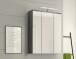 Badezimmerspiegelschrank >Blake< in Rauchsilber/Spiegelglas - 60x77x21cm (BxHxT)