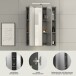 Badezimmerspiegelschrank >Blake< in Rauchsilber/Spiegelglas - 60x77x21cm (BxHxT)