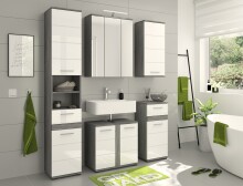 Badezimmer-Set >Blake< in Rauchsilber/Weiß hochglanz - 60x191x34cm (BxHxT)