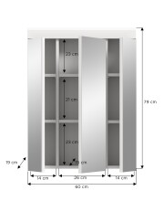 Badezimmerspiegelschrank >Scout< in Weiß/Spiegelglas - 60x79x18cm (BxHxT)