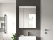 Badezimmerspiegelschrank >Scout< in Weiß/Spiegelglas - 60x79x18cm (BxHxT)