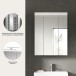Badezimmerspiegelschrank >Scout< in Weiß/Spiegelglas - 60x79x18cm (BxHxT)