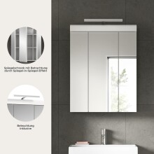 Badezimmerspiegelschrank >Scout< in Weiß/Spiegelglas - 60x79x18cm (BxHxT)