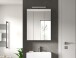 Badezimmerspiegelschrank >Scout< in Weiß/Spiegelglas - 60x79x18cm (BxHxT)