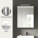 Badezimmerspiegelschrank >Scout< in Weiß/Spiegelglas - 60x79x18cm (BxHxT)