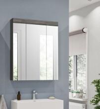Badezimmerspiegelschrank >Scout< in Rauchsilber/Spiegelglas - 60x79x18cm (BxHxT)