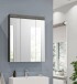 Badezimmerspiegelschrank >Scout< in Rauchsilber/Spiegelglas - 60x79x18cm (BxHxT)