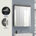 Badezimmerspiegelschrank >Scout< in Rauchsilber/Spiegelglas - 60x79x18cm (BxHxT)