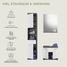 Badezimmer-Set >Scout< in Rauchsilber/Weiß hochglanz - 112x191x34cm (BxHxT)