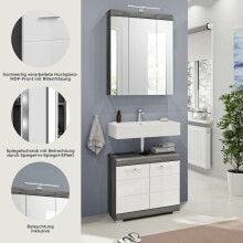 Badezimmer-Set >Scout< in Rauchsilber/Weiß hochglanz - 60x191x34cm (BxHxT)