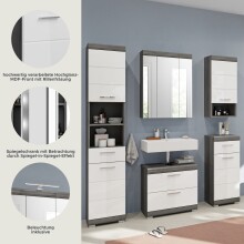 Badezimmer-Set >Scout< in Rauchsilber/Weiß hochglanz - 164x191x34cm (BxHxT)