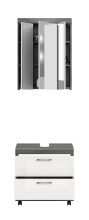 Badezimmer-Set >Scout< in Rauchsilber/Weiß hochglanz - 60x191x34cm (BxHxT)