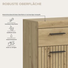 Hochschrank >Scout< in Artisan Eiche Nachbildung - 74x88x31cm (BxHxT)