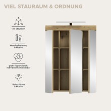 Badezimmerspiegelschrank >Scout< in Eiche Dekor / Spiegel - 60x79x18cm (BxHxT)