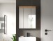 Badezimmerspiegelschrank >Scout< in Eiche Dekor / Spiegel - 60x79x18cm (BxHxT)