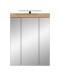 Badezimmerspiegelschrank >Scout< in Eiche Dekor / Spiegel - 60x79x18cm (BxHxT)
