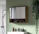 Badezimmerspiegelschrank >Bagno< in Eiche Dekor / Spiegel - 80x68x19cm (BxHxT)